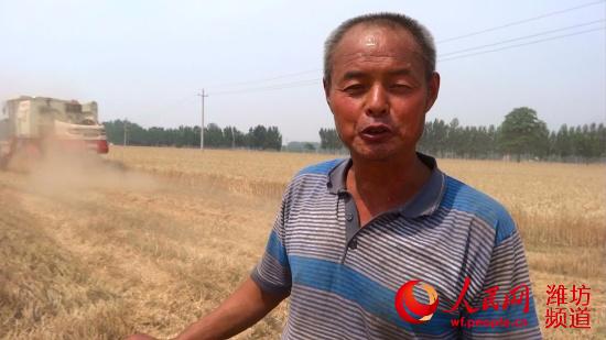 福田雷沃谷神小麦收割机在河南备受欢迎--潍坊