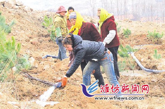 潍坊市级义务植树昨日在峡山区举行 共植树7万